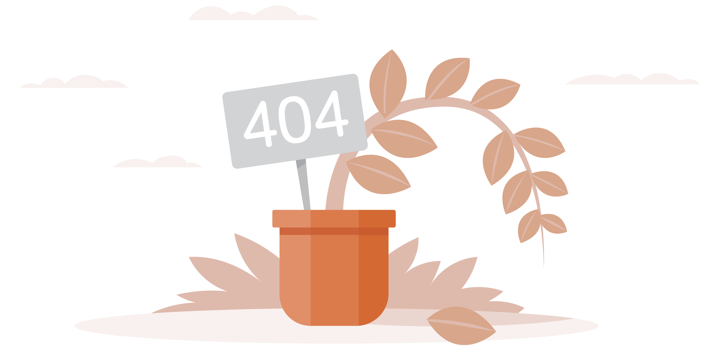 404 img-Auricarris